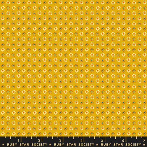 Daisy in Goldenrod - Sugar Maple