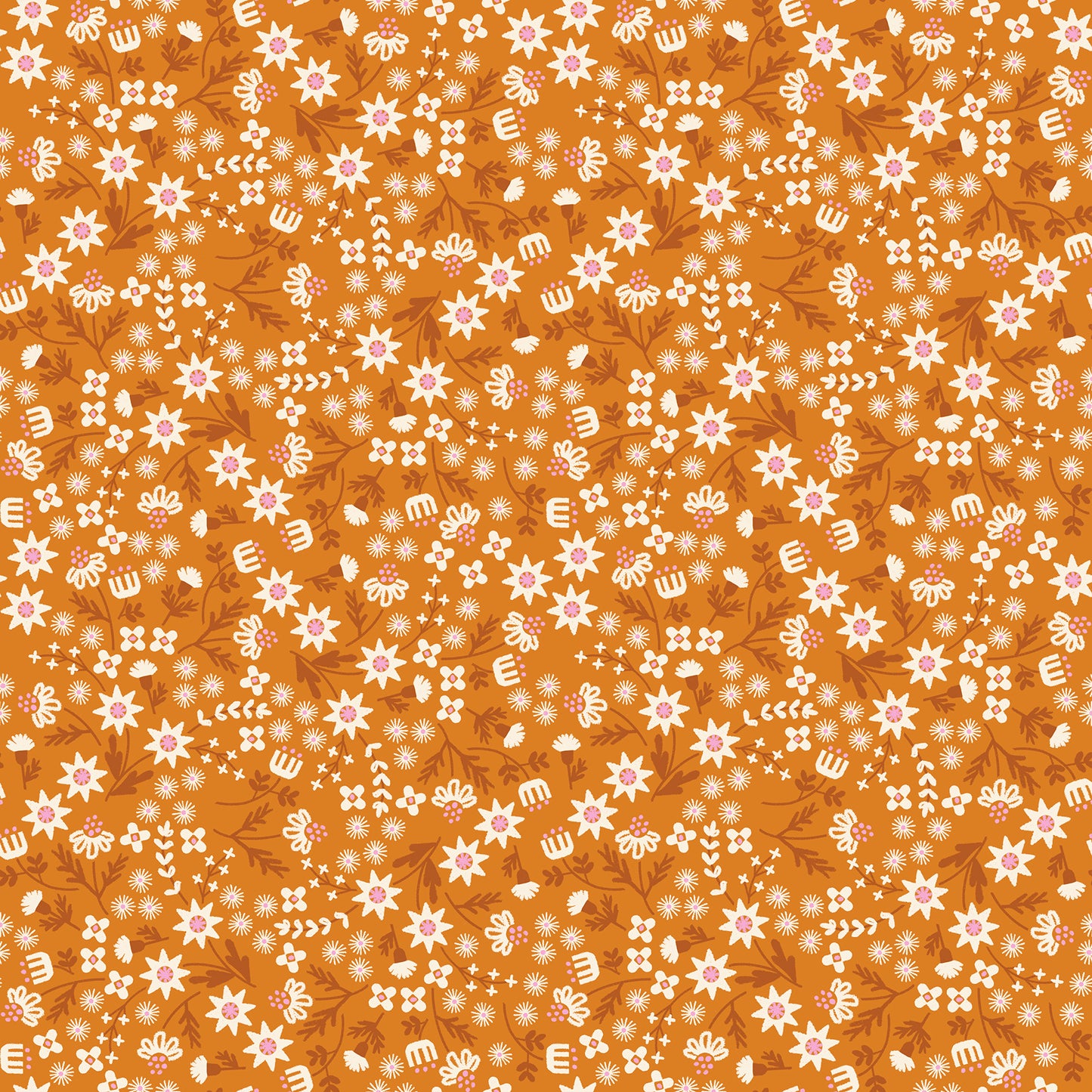 Inflorescence Tumeric - Favorite Flowers