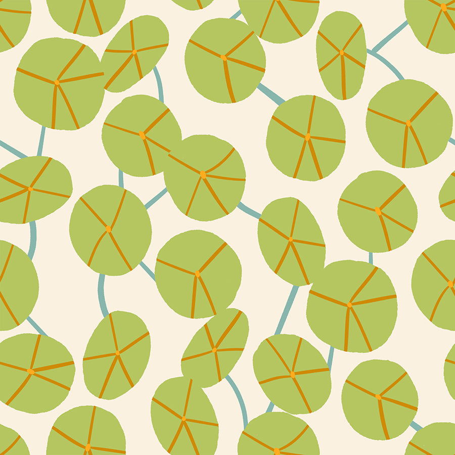 Pilea in Natural - Calathea