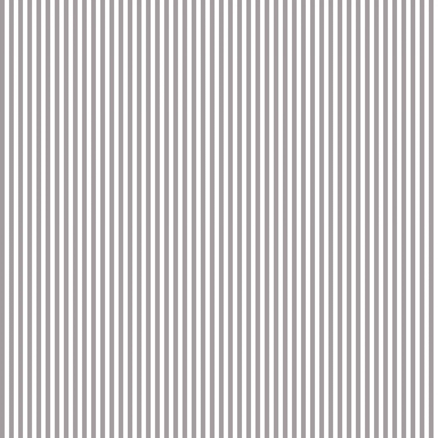 Gray 1/8th Stripe - Basic Stripe