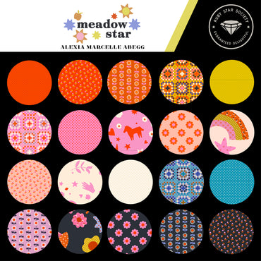 Meadow Star Layer Cake