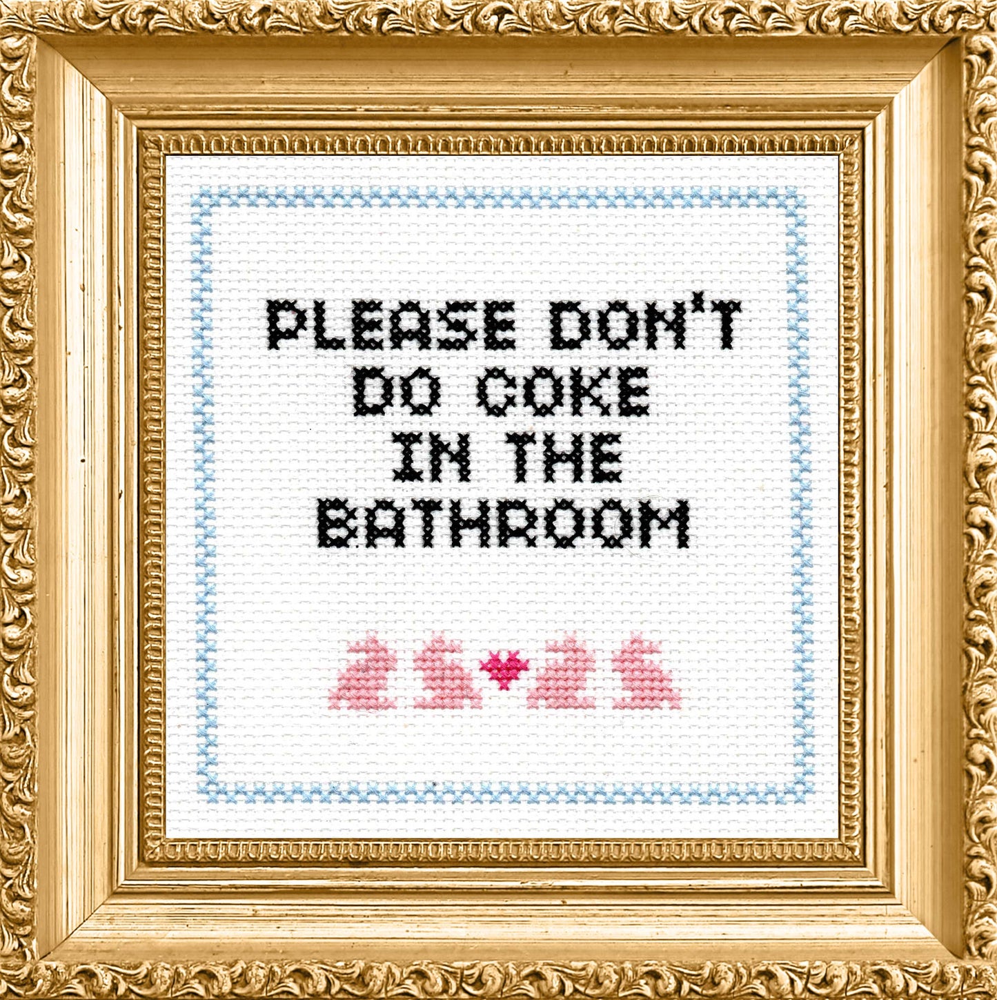 Please Don't Do Coke In The Bathroom Cross Stitch Kit