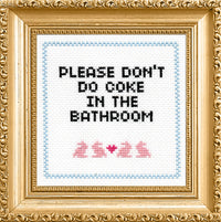 Please Don't Do Coke In The Bathroom Cross Stitch Kit