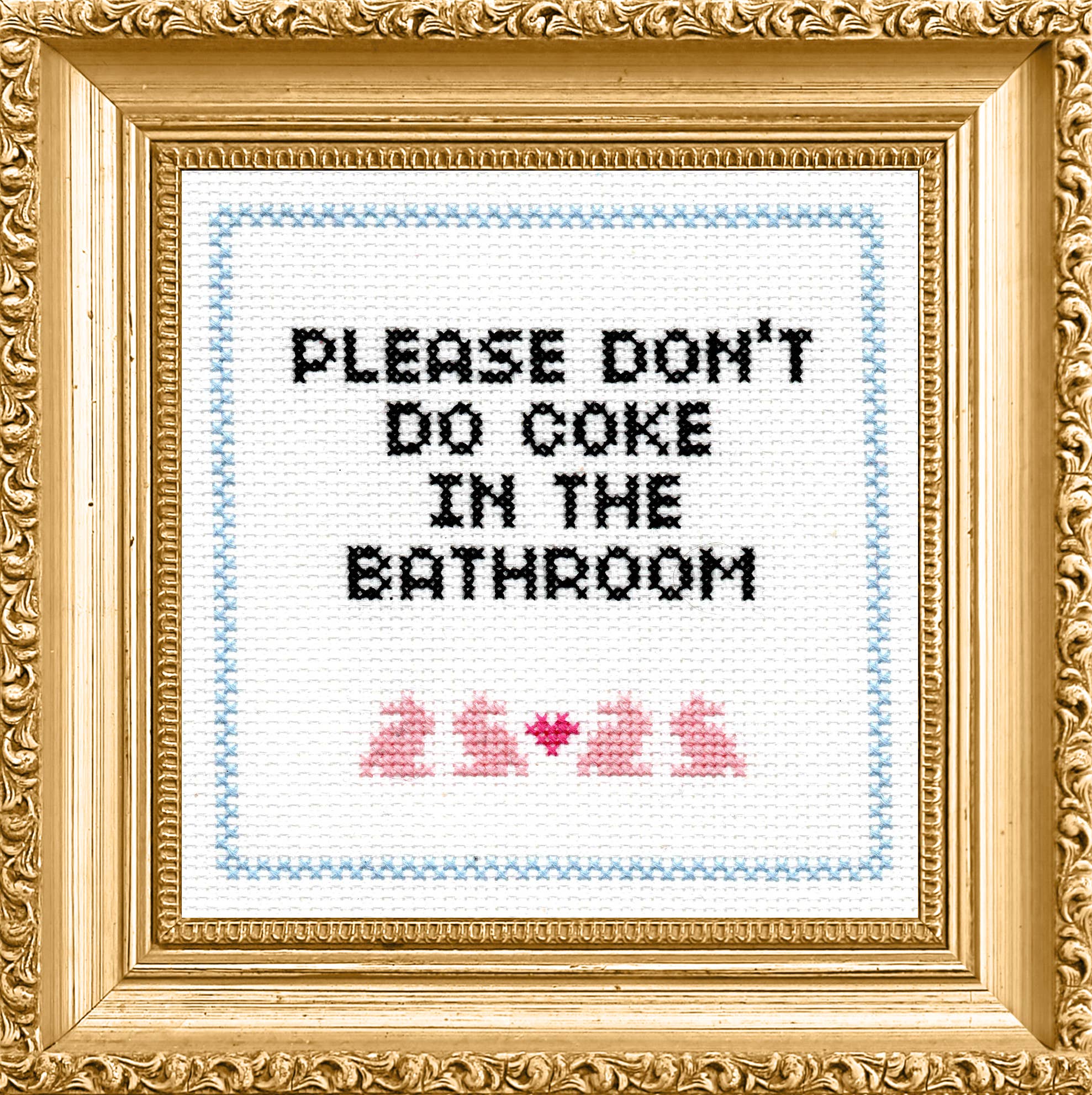 Please Don't Do Coke In The Bathroom Cross Stitch Kit