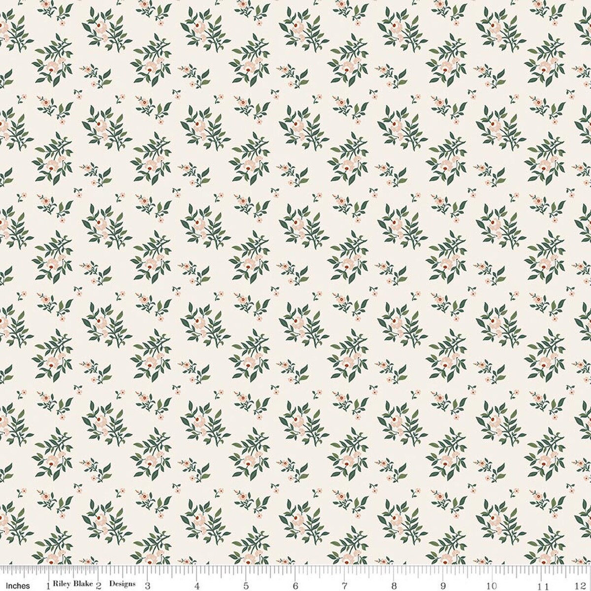 Juniper Cream - Before the Bloom