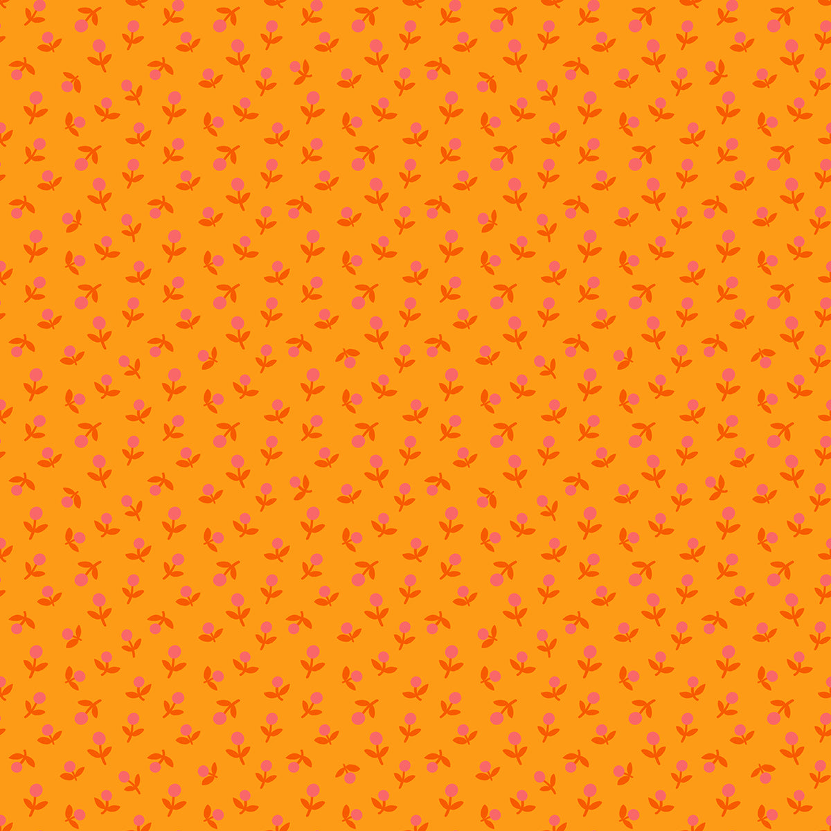 Sprout in Cheddar - 1800 Calico