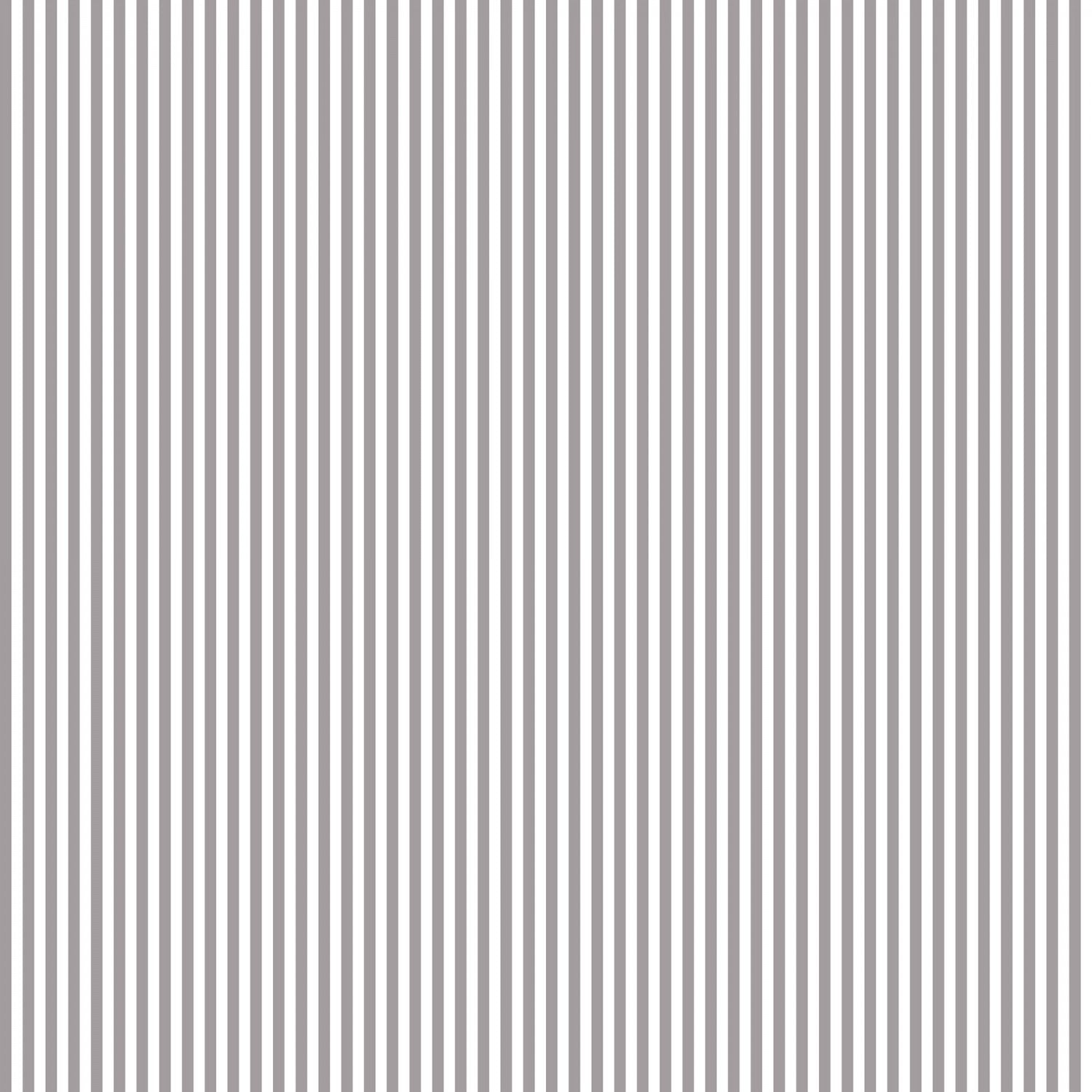 Gray 1/8th Stripe - Basic Stripe